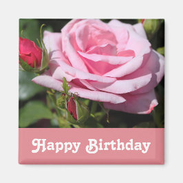 ピンクのバラの花ハッピーバースデー。愛、ガールフレンド マグネット
