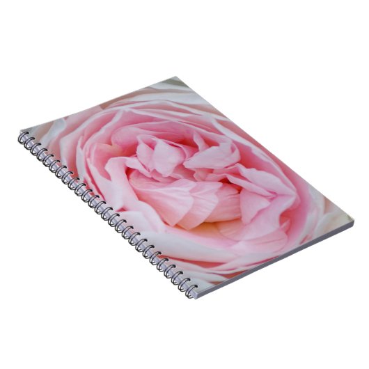 ピンクのバラの花ピンクのバラのバラの花びら花 ノートブック (右側)