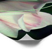 ピンクのバラの花フレームをカスタマイズ ポスター (角)