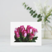 ピンクのバラの花束のはがき ポストカード (スタンド正面)