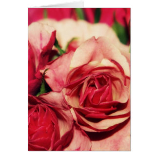 ピンクのバラの花束のファインアートの写真