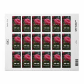 ピンクのバラの花結婚のワインラベル。 ラベル (フルシート)