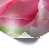 ピンクのバラの花芽と真珠のネックレス フォトプリント            (角)