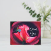 ピンクのバラの花芽 アブストラクト フラワーの感謝カード ポストカード (スタンド正面)