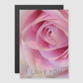 ピンクのバラの花 (正面/裏面)