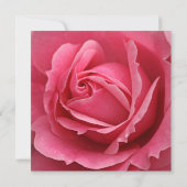 ピンクのバラの花80th誕生日パーティー 招待状 (裏面)