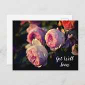 ピンクのバラの花 ガーデンから すぐ回復してね ポストカード (正面/裏面)