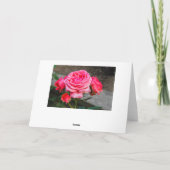 ピンクのバラの花 シーズンカード (裏面)