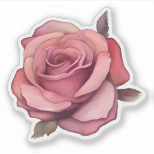 ピンクのバラの花 シール