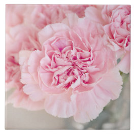 ピンクのバラの花 タイル