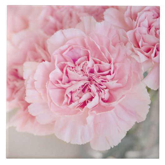 ピンクのバラの花 タイル (正面)