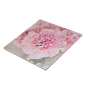 ピンクのバラの花 タイル (側面)