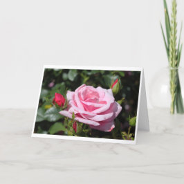 ピンクのバラの花 ハッピーバースデー。愛を込めて、彼女より カード