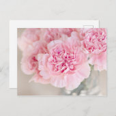 ピンクのバラの花 ポストカード (正面/裏面)