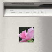 ピンクのバラの花 マグネット (インサイチュ (食洗機))