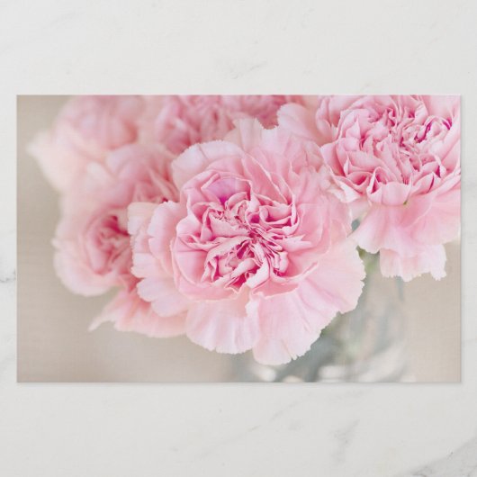 ピンクのバラの花 便箋 (正面)