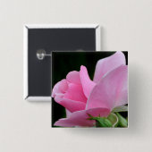 ピンクのバラの花 缶バッジ (正面&裏面)