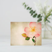 ピンクのバラの花 – 花のバラ水彩 ポストカード (スタンド正面)