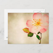 ピンクのバラの花 – 花のバラ水彩 ポストカード (正面/裏面)