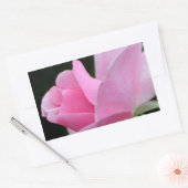 ピンクのバラの花 長方形シール (封筒)