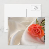 ピンクのバラの葉書 ポストカード (正面/裏面)