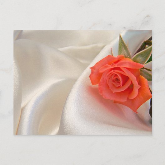 ピンクのバラの葉書 ポストカード (正面)