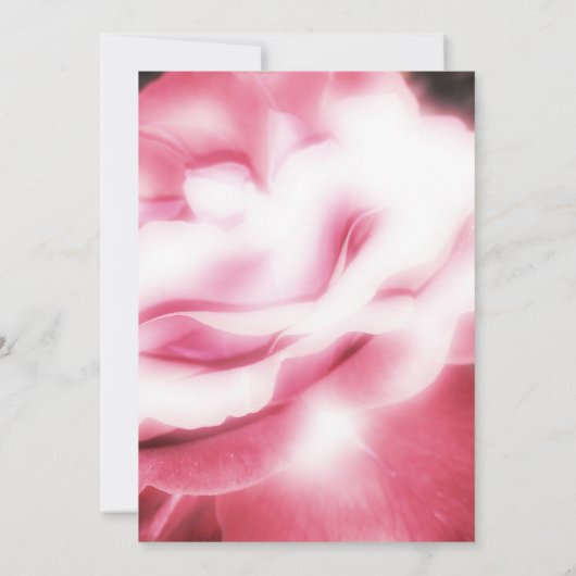 ピンクのバラの記念物/発表 案内状 (裏面)