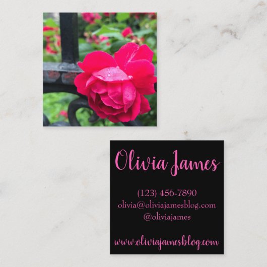 ピンクのバラの雨滴の露ガーデンゲート写真 スクエア名刺 (正面/裏面)