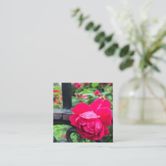 ピンクのバラの雨滴の露ガーデンゲート写真 スクエア名刺 (スタンド正面)