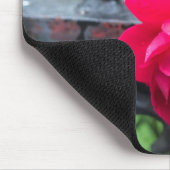 ピンクのバラの雨滴の露ガーデンゲート写真 マウスパッド (コーナー)