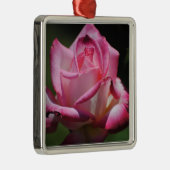 ピンクのバラのKordesパーフェクタのオーナメント メタルオーナメント (右)