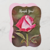 ピンクのバラは平らなメッセージカード感謝していしています サンキューカード (正面/裏面)