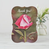 ピンクのバラは平らなメッセージカード感謝していしています サンキューカード (スタンド正面)