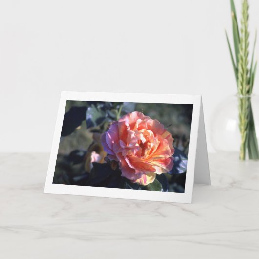 ピンクのバラ折りグリーティ空白のングカード カード (正面)