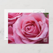 ピンクのバラ水平はがき ポストカード (正面/裏面)