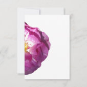 ピンクのバラ花の花の写真の応答カード 出欠カード (裏面)