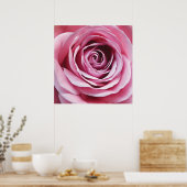 ピンクのバラ詳細、自然ガーデンフラワー ポスター (キッチン)