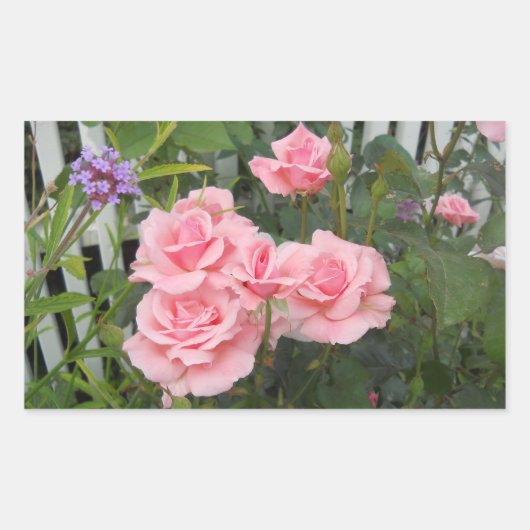 ピンクのバラ長方形ステッカー 長方形シール (正面)