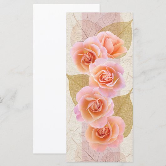 ピンクのバラ (正面/裏面)