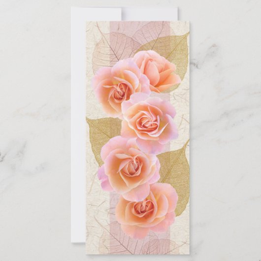 ピンクのバラ (正面)