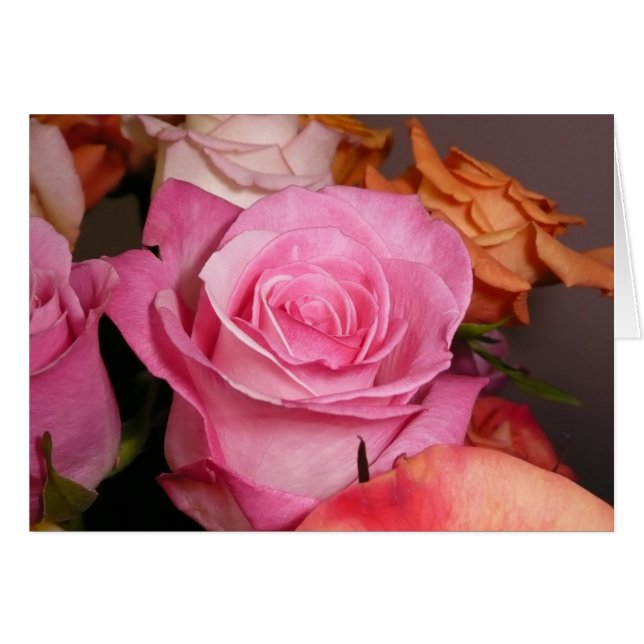 ピンクのバラ (正面横)