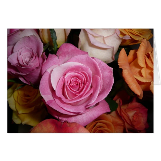 ピンクのバラ (正面横)