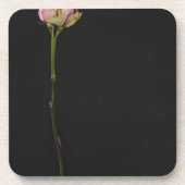 ピンクのバラ3 コースター (正面)