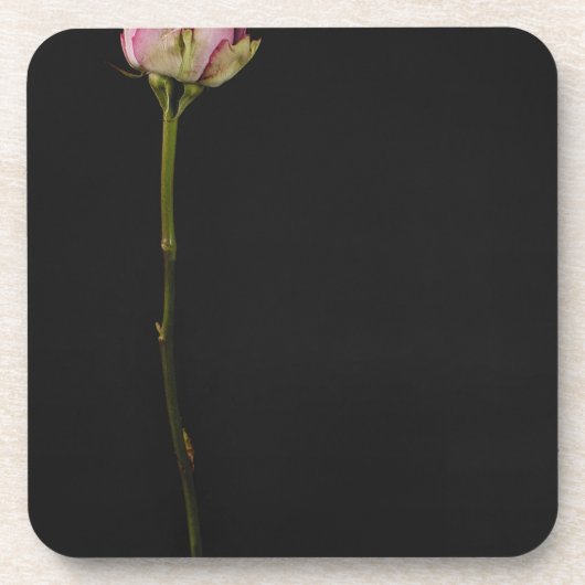 ピンクのバラ3 コースター (正面)