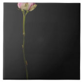 ピンクのバラ3 タイル (正面)