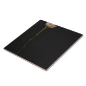 ピンクのバラ3 タイル (側面)