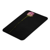 ピンクのバラ3 マグネット (左側)