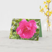 ピンクのバラ カード (黄色い花)