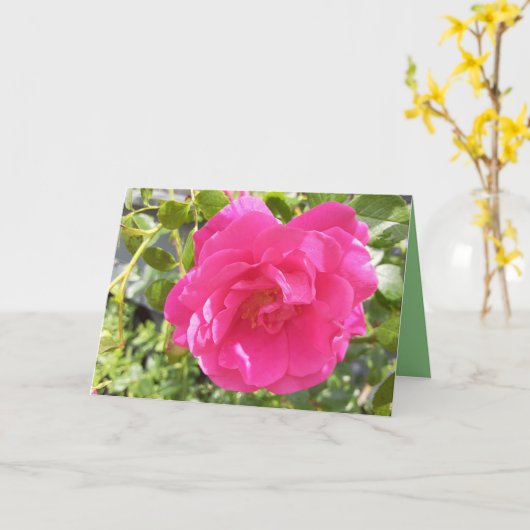 ピンクのバラ カード (黄色い花)