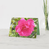 ピンクのバラ カード (正面)